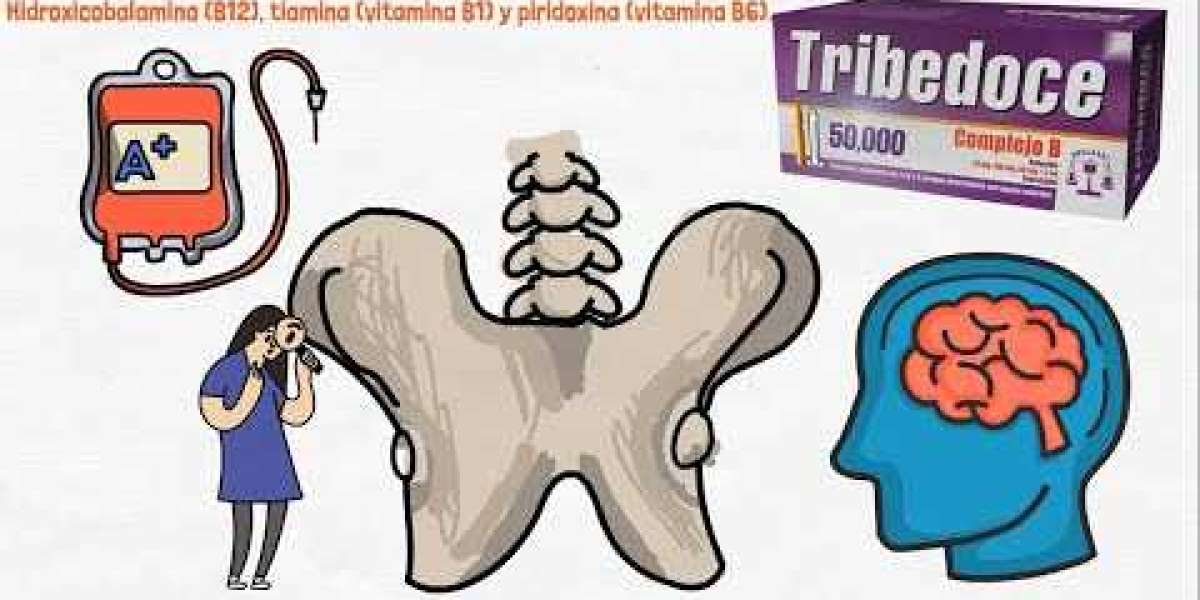 Propiedades del romero, para qué sirve y cómo prepararlo Guía práctica