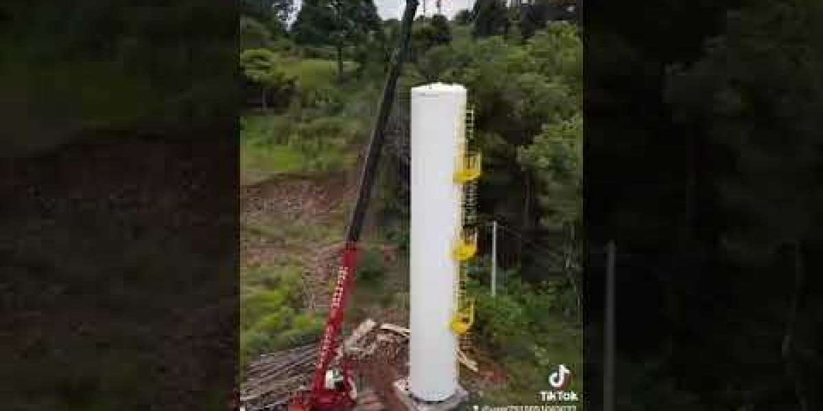 Guía Cómo montar un acuario de agua dulce