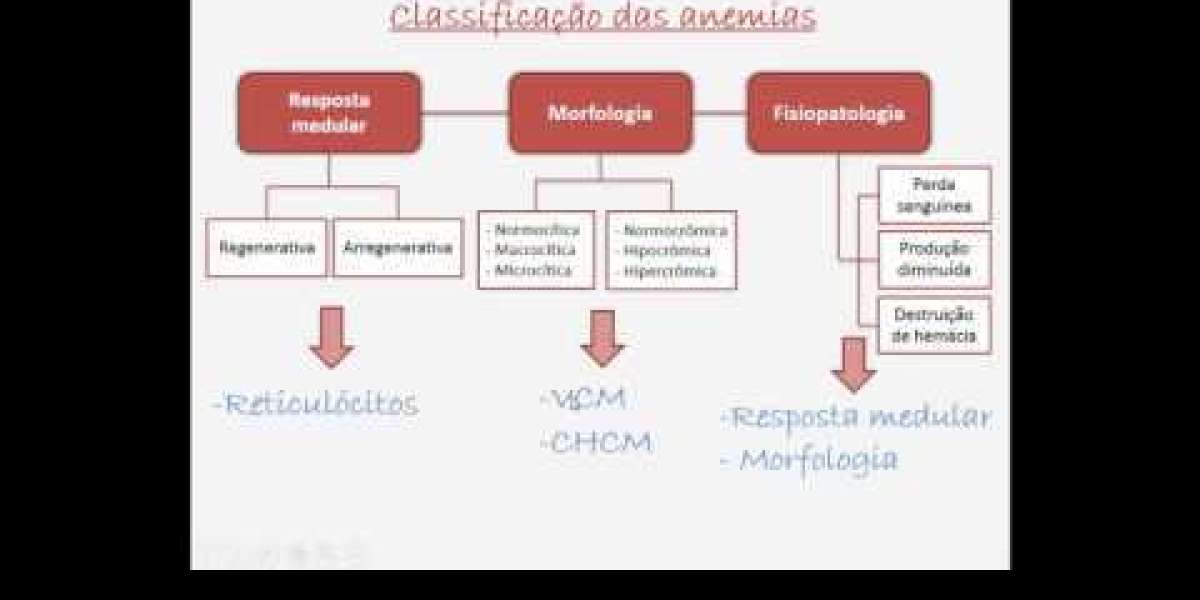 ¿Qué significa que mi perro tenga alta la fosfatasa alcalina?