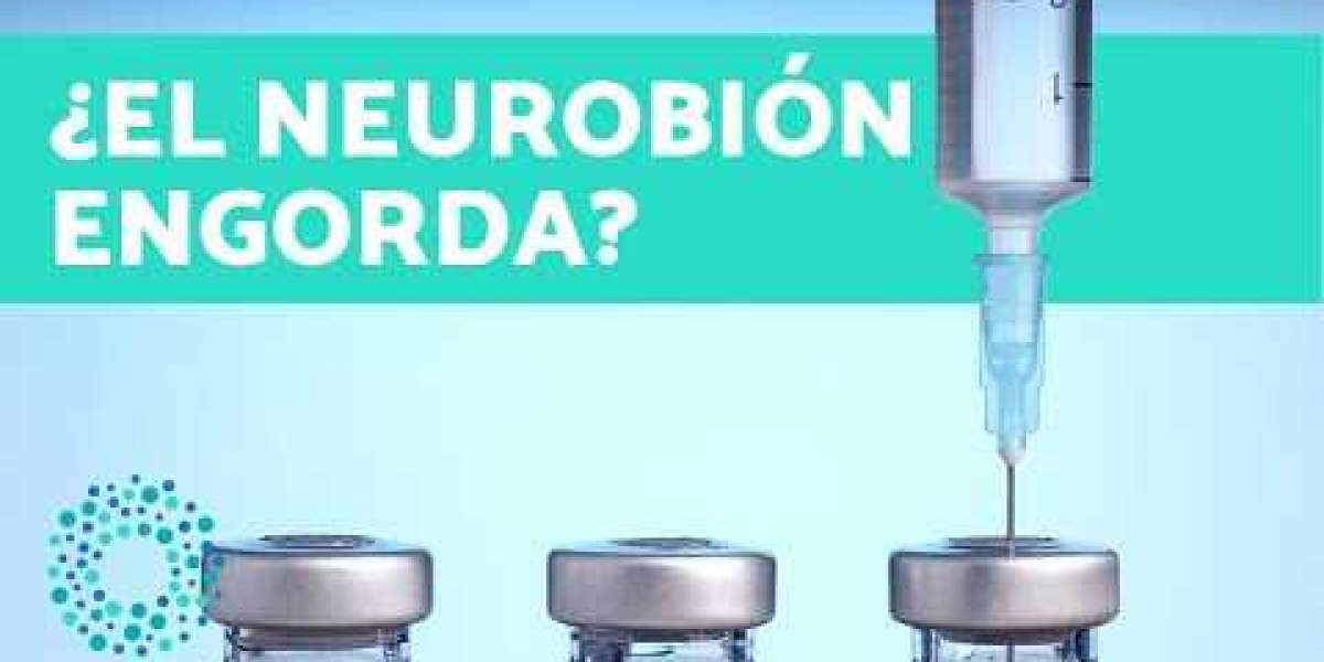 Propiedades del romero, para qué sirve y cómo prepararlo Guía práctica