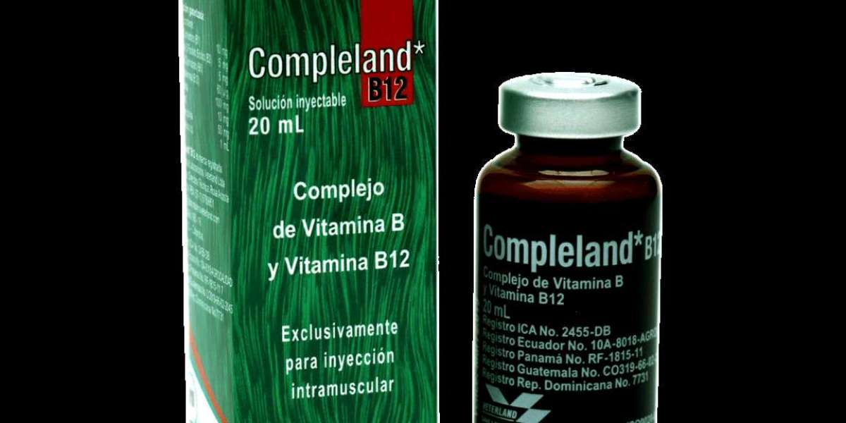 Vitamina B12: para qué sirve, alimentos y cuándo tomar su suplemento