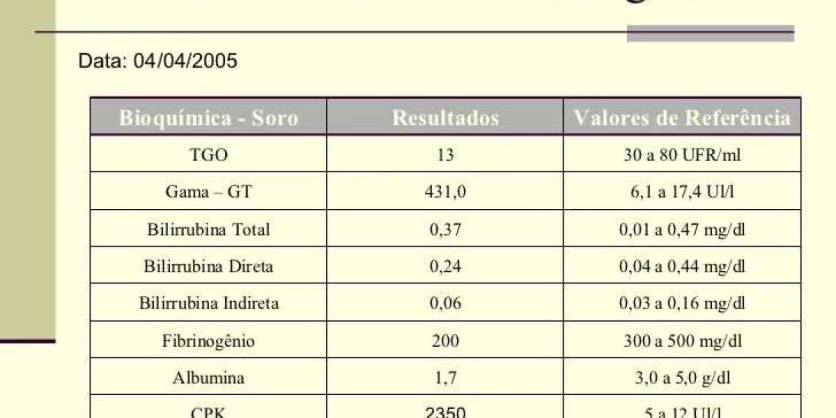 Ovo Cozido: Um Petisco Saudável para Seu Cachorro?