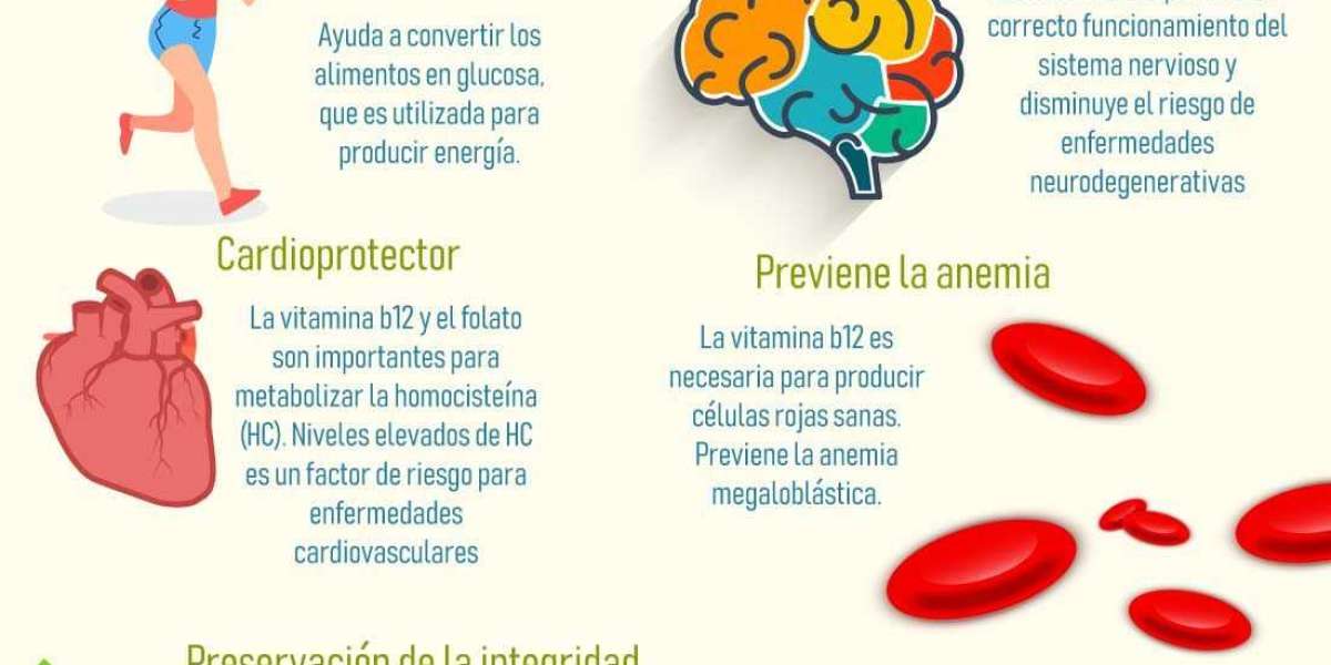 ¿Cuáles son las contraindicaciones si tomo Polper B12 forte?