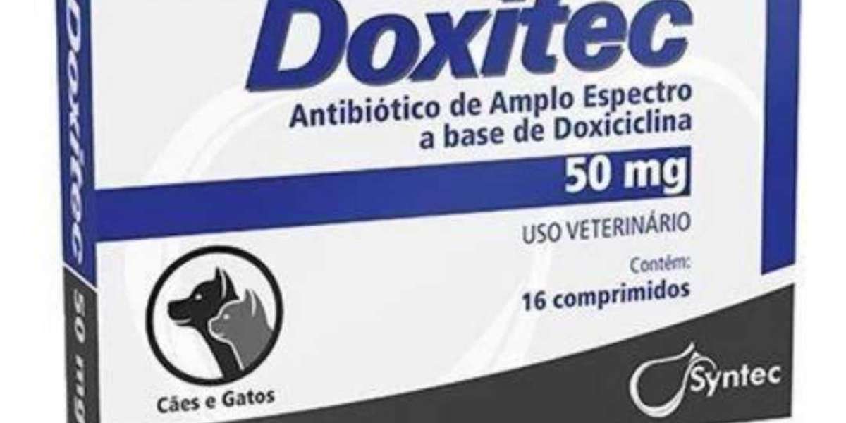 Timing Perfeito: Quando é Hora de Levar Seu Cão ou Gato ao Veterinário para o Exame Coproparasitológico?